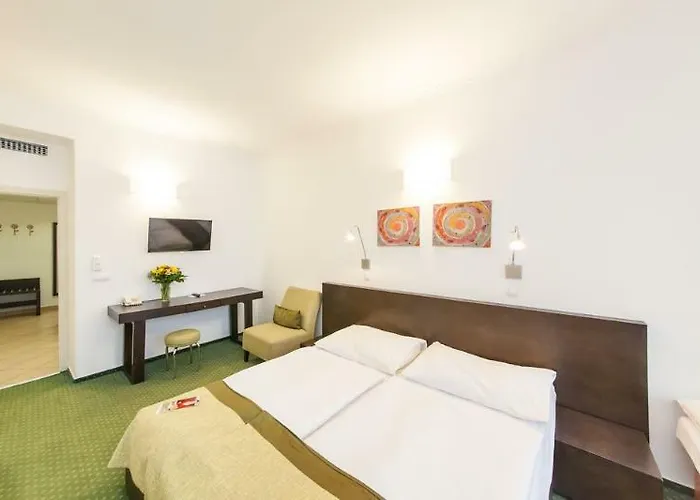 Hotel Vitkov